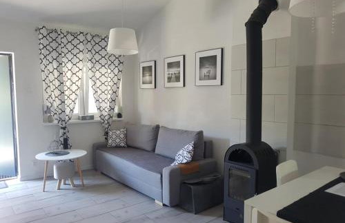 Domki Boszkowo-Dominice Bliźniak 2 apartamenty - Foto 39