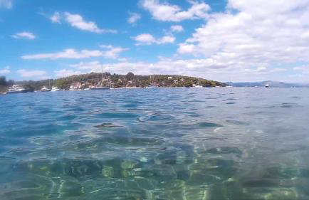 Apartments Salihbegovic - Foto 13