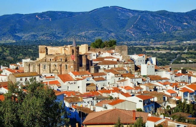 Casa Aroche - Photo 21