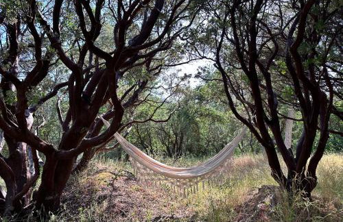 Modern House on 5 acr in Sequoia National Forest - Foto 21