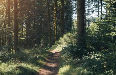 Gîtes Le Fer A Cheval Vassivière - Photo 20