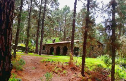 Monte frio de Tenerife - Foto 10