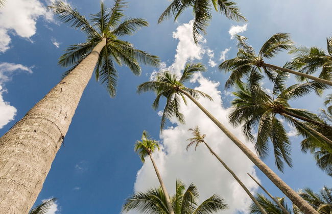 Jivana Beach Villas - Foto 75