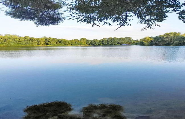 Small Apartment in Hesse With Terrace and Garden - Foto 33