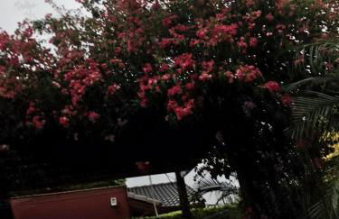 Linda Casa de Campo - Próximo à SP - Wi-Fi grátis - Photo 50