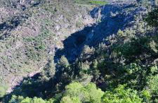 Mira Pombeira - Foto 26