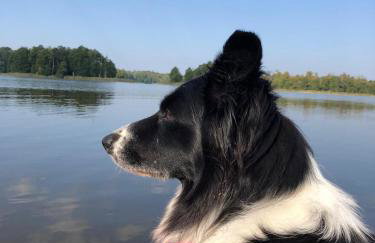 Siedlisko nad Łąkami - Foto 42