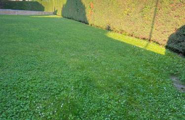 Gardasweethome - Photo 29