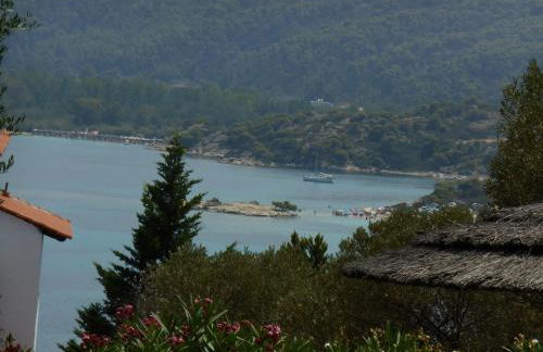 Heliactida House - Photo 15