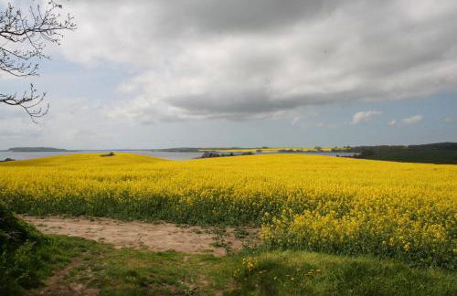 Haus - Meeresbrise - Foto 29