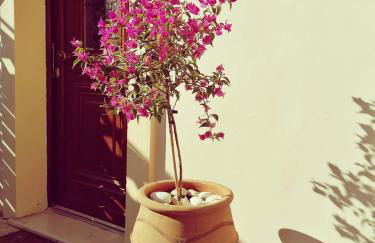 Lorantina Luxury Sea View House with Starlink WiFi near Barbati & Ipsos - Photo 73