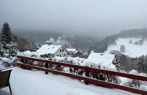 Platell Ferienhäuser Harz Wieda - Foto 18