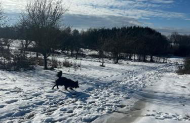 Ländliche Fewo Wildblume, 4 km zum Stausee - Foto 23