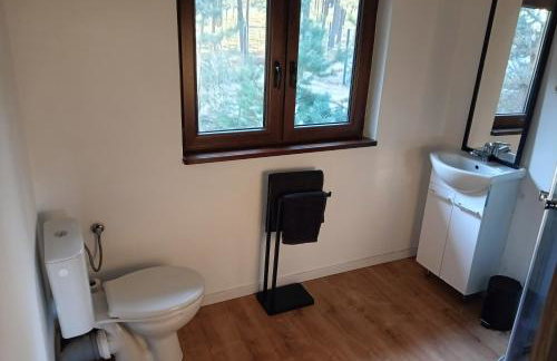 Osada Blanka Leśny Zakątek Jezioro Rzeka Swornegacie - Foto 35