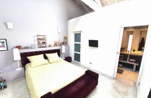 La Nomade - Maison contemporaine avec piscine - Toulouse - Foto 9