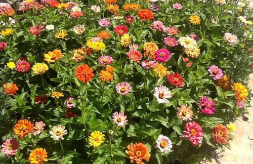 Casa Rural Caseta de l' Hort - Foto 79