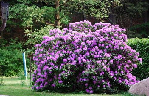 Ferienhaus Jägerhaus Oppach Privathaus - Foto 56