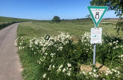 Haus Horizont - Foto 38