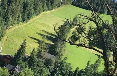 Tatrzańskie Zacisze Suche - Foto 59