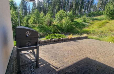 Black Forest Holidays - Auerhahn - Schwarz Wald - Foto 15