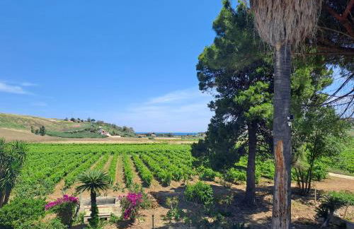 Fattoria Manostalla Villa Chiarelli - Foto 13