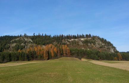 Pokoje u Pitera - Foto 11