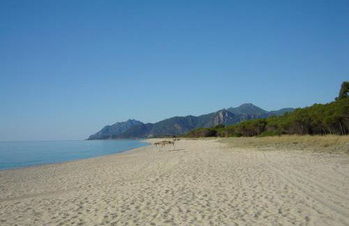 Casa Arcobaleno - Foto 23