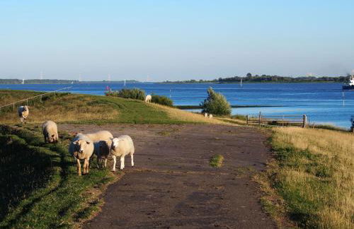 Haus am Deich - Foto 19