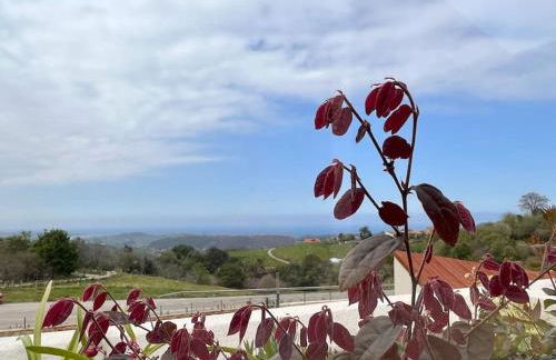 Apartamento Puerta de Comillas - Monabri - Photo 34