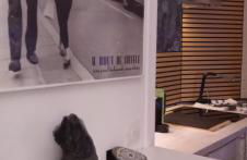 Studio meublé vue tour Eiffel et tout Paris - Foto 7