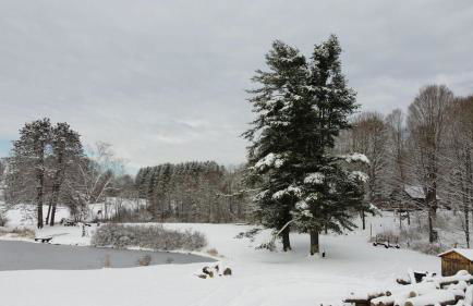 Pond View Cabin Brought to you by GetAway Vacations - Photo 14