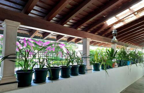 QM - Quinta da Morgadinha - Casa em Quinta Rural - Foto 26