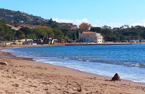 appartement vue mer piscines parking LES CORAUX AGAY PLAGE - Foto 23