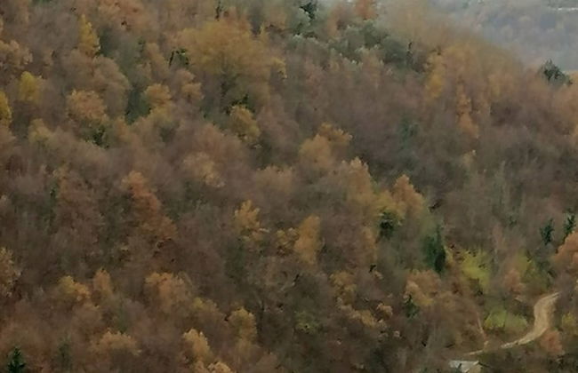 The 'castelletto' Holiday House - Foto 20