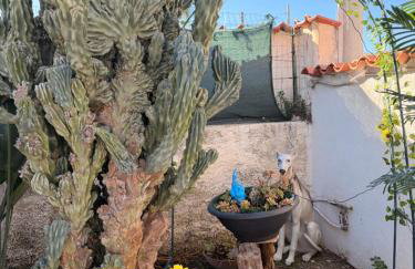 Casa Helios - Photo 52