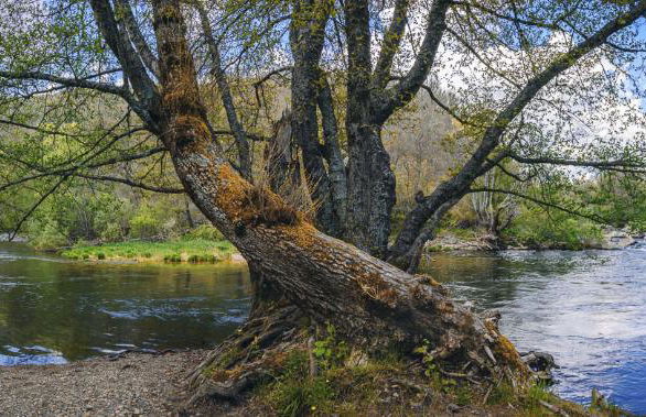 Casa Rural Aguas Frias - Foto 26