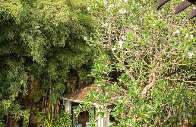 41 Lighthouse Street - Foto 49