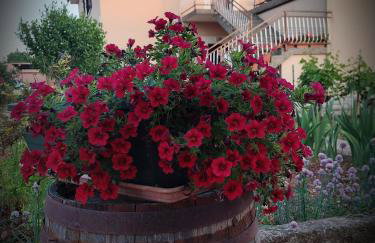 Apartments Rusin - Photo 13