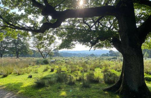 Rivelin - vintage vibe with modern conveniences - Sheffield & Peak District! - Foto 37