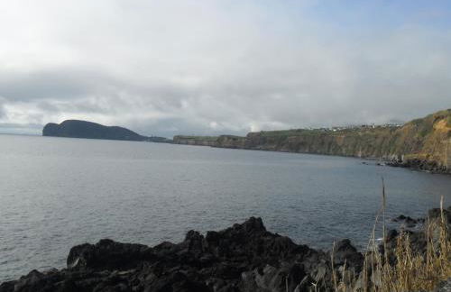 Adega Ilhéu - Photo 40