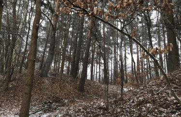 Moja Stay - wyjątkowy dom z sauną - Foto 32
