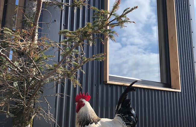 Tiny Home in Isle of Skye-pet Friendly - Photo 36