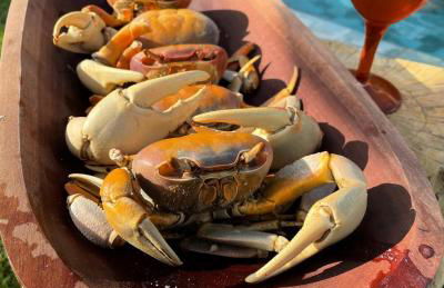 VILA PITHAYA - Casa Jambo Rosa - Foto 38