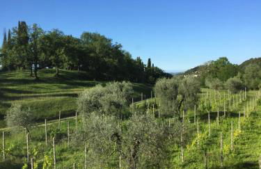 Agriturismo Cervano - Foto 77