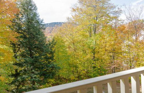 Vantage Point Villas at Stratton Mountain Resort - Foto 8