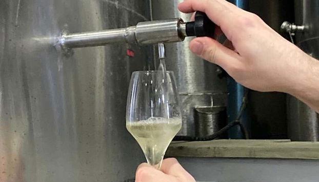 Degustando um espumante brasileiro