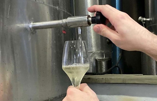 Tour della Rota dos Espumantes - Foto 5