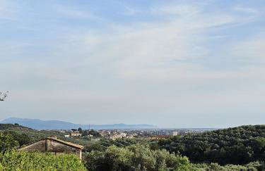 Tenuta degli Ulivi - Dimora Contadina - Foto 64