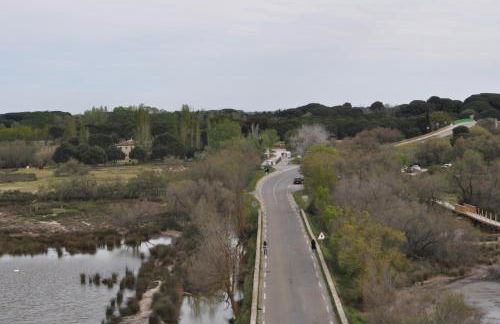 Vacances en Camargue proche de la mer climatisé - Foto 19