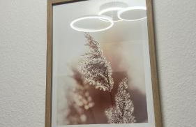 Schwarzwald Apartments I - Foto 21